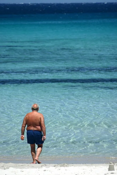 Korsika calvi pláž Calvi — Stock fotografie