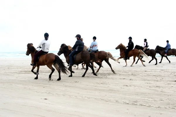 Stock image Riding horses