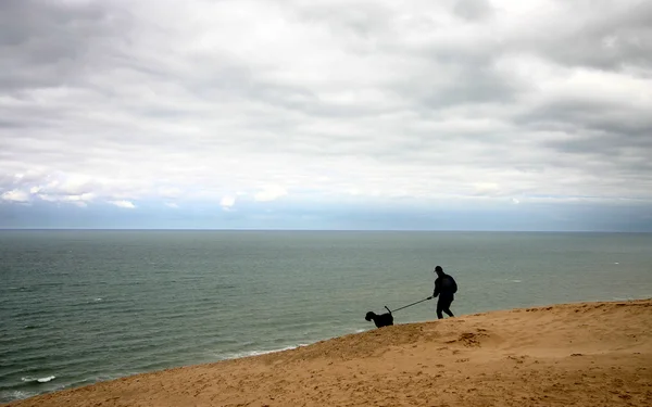Yaz Danimarka: adam ile köpek — Stok fotoğraf
