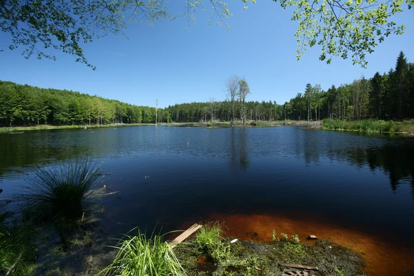 Lago Imagen de archivo