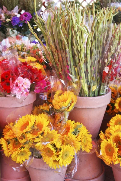 Flower Market 1 — Stock Photo, Image
