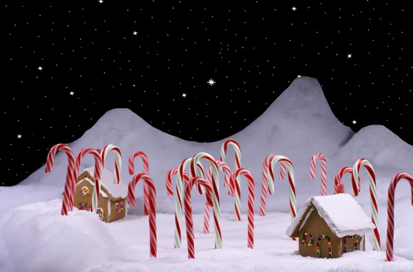 Christmas Candy Cane Forest with Starry sky — Stock Photo, Image