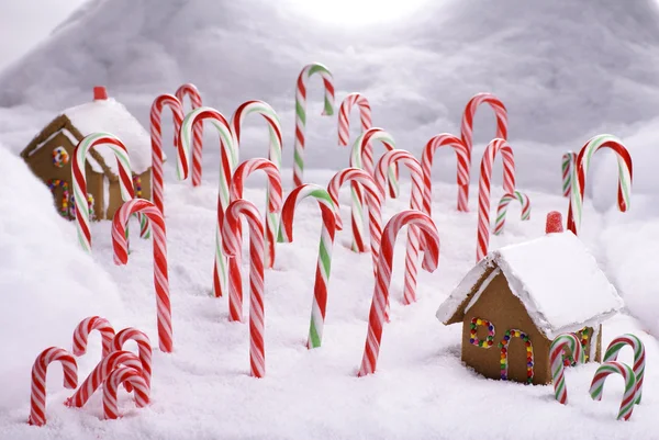 Christmas Ginger Bread Cottages in Candy Cane Forest — Stock Photo, Image