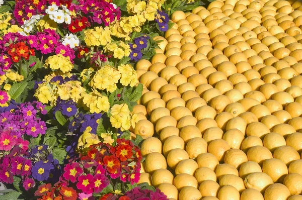 Лимонний Ментона 2011 святкує — стокове фото