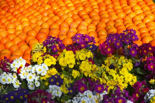 stock image Lemon Menton 2011 celebrates