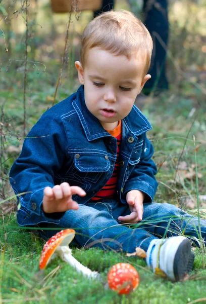 Leuke jongen en champignons — Stockfoto