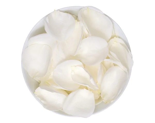 White rose petals — Stock Photo, Image