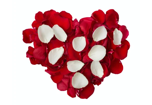 White and red rose petals — Stock Photo, Image
