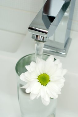 Chrome tap water and flower