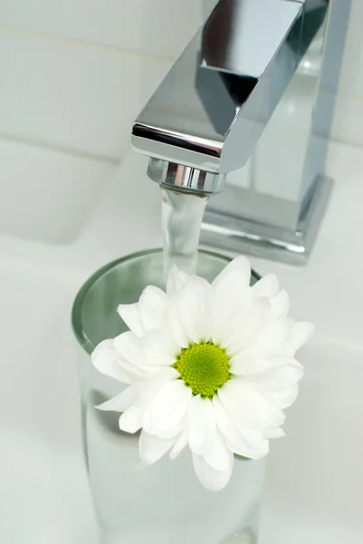 Chrom Leitungswasser und Blume — Stockfoto
