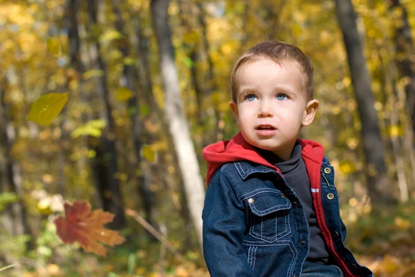 可爱男孩和飘落的树叶 — 图库照片