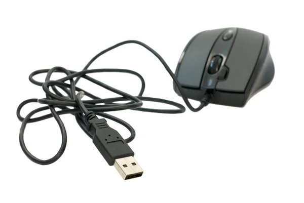 Stock image Black mouse