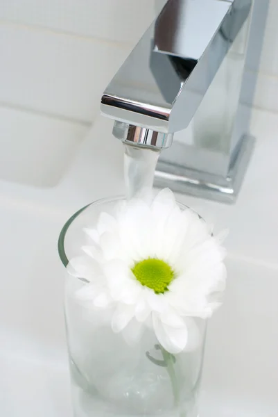 Chrom-Leitungswasser und flatternde Blume — Stockfoto