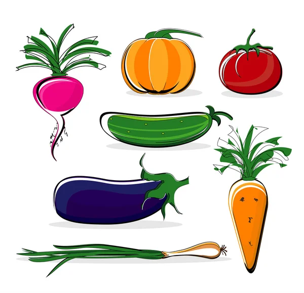 Vegetable colored on white background — Stock Vector