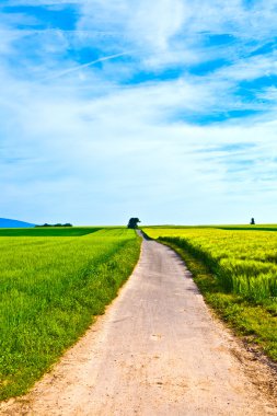 Way through meadows under blue sky clipart