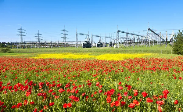 Електростанція на красивому квітковому лузі — стокове фото