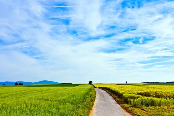 Camino a través de prados bajo el cielo azul — Foto de Stock