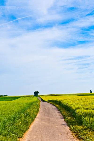 Camino a través de prados bajo el cielo azul — Foto de Stock