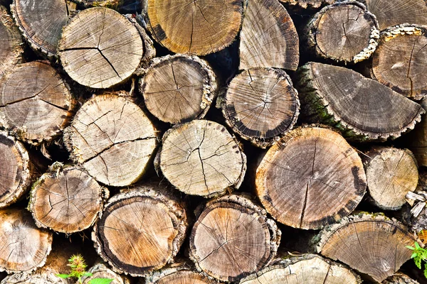Pilha de madeira (redondo ) — Fotografia de Stock