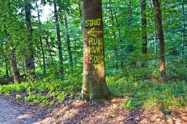 Circuito de inicio de signo pintado en un árbol para corredores y caminantes —  Fotos de Stock