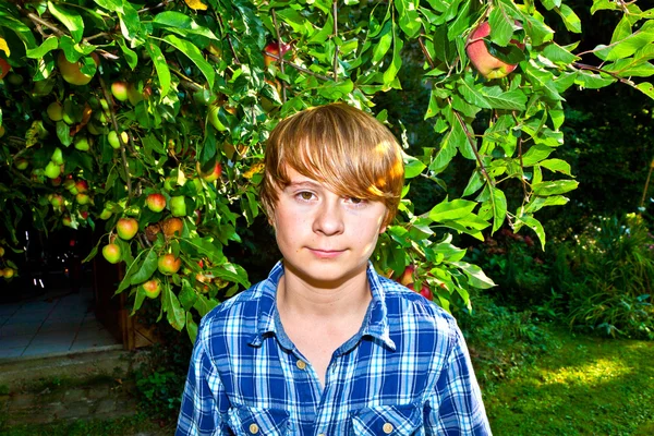 Retrato de niño lindo en hojas — Foto de Stock