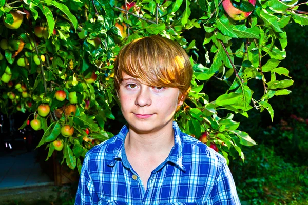 Portrait of cute boy in leaves — Stock Photo, Image