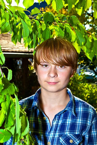 Portrait de garçon mignon dans les feuilles — Photo