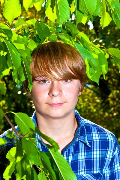 Portrait of cute boy in leaves — Stock Photo, Image