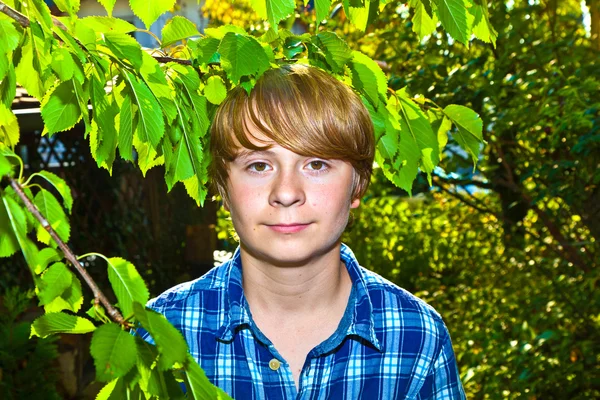 Retrato de menino bonito em folhas — Fotografia de Stock