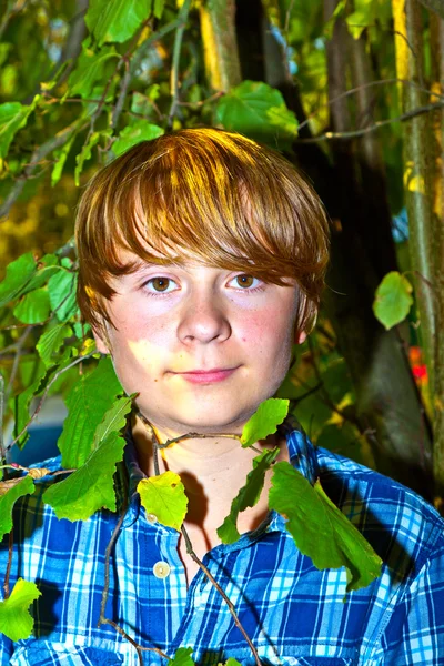 Портрет милого мальчика в листьях — стоковое фото