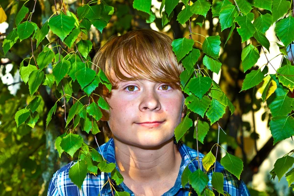 Retrato de niño lindo en hojas —  Fotos de Stock