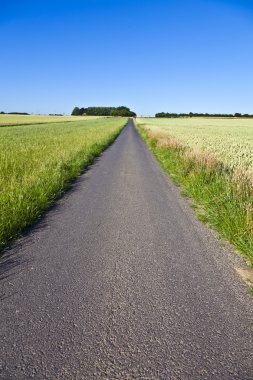 lane ve mavi gökyüzü ile alanlar