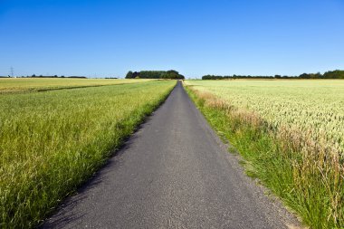 lane ve mavi gökyüzü ile alanlar