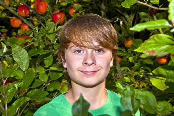 Симпатичный умный мальчик в саду под деревом — стоковое фото
