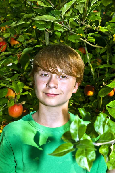 stock image Cute smart boy in the garden under the tree