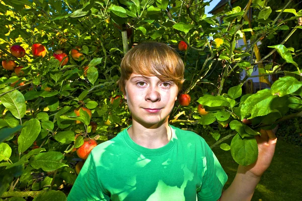 Söt smart pojke i trädgården under trädet — Stockfoto