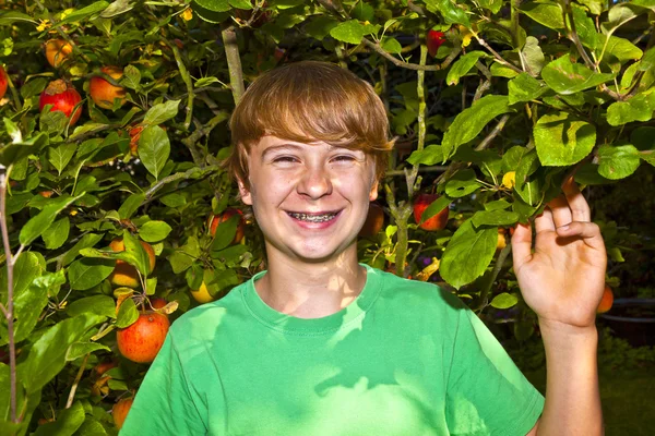 Söt smart pojke i trädgården under trädet — Stockfoto