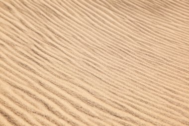 Wind forms structures in the dunes at the beach clipart