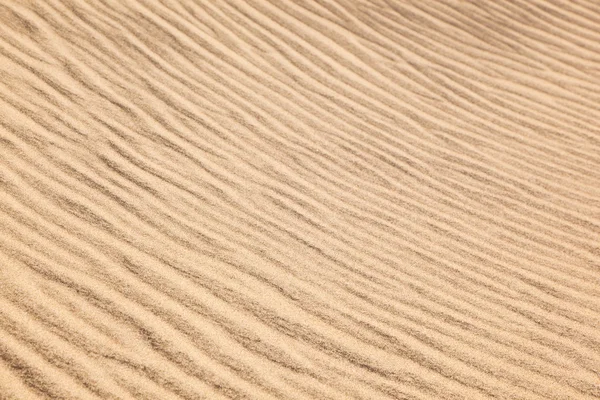 Vítr formy struktury v dunách na pláži — Stock fotografie