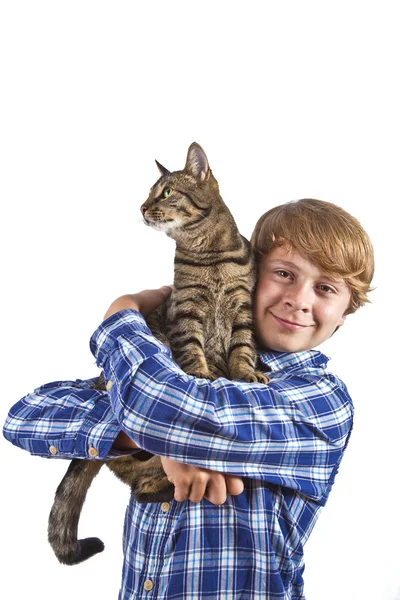 Băiatul se ține de mâinile unei pisici gri — Fotografie, imagine de stoc