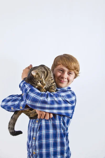De jongen houdt op de handen van een grijze kat — Stockfoto