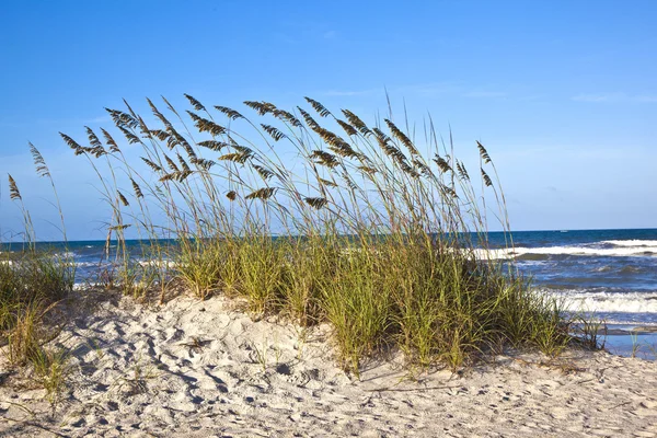 Duinen op het prachtige strand in sankt augustine — Stockfoto