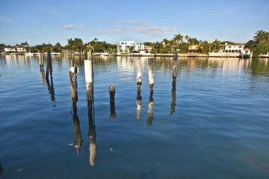 okyanus erişimi olan Güney Miami güzel evler