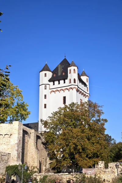 Famosa torre de Eltville castelo — Fotografia de Stock