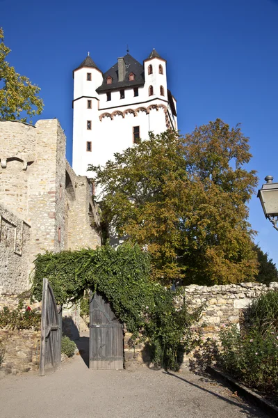 Berühmter Turm der Burg Eltville — Stockfoto