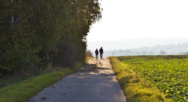 stock image Couple walking on a pathway