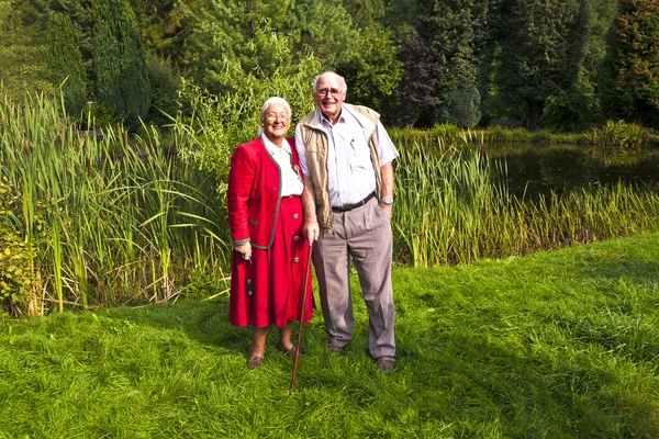 Ηλικιωμένους ζευγάρι στέκεται χέρι-χέρι στον κήπο τους — Φωτογραφία Αρχείου