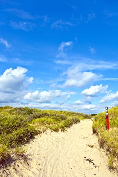 Caminho através das dunas na ilha de Fanoe, na Dinamarca — Fotografia de Stock