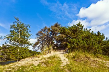 Untouched nature on the island of Fanoe in Denmark clipart