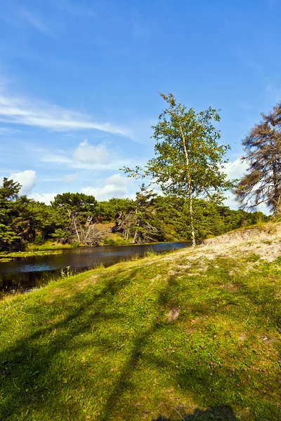 Orörd natur på ön fanoe i Danmark — Stockfoto